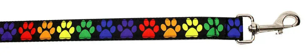 Rainbow-Paws-Nylon-Pet-Leash-5-8in-By-6ft-GreatEagleInc-334330539