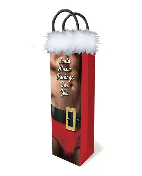 Santa-Has-A-Big-Package-For-You-Gift-Bag-Little-Genie-335091097
