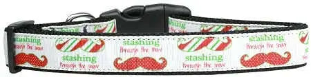 Stashing-Through-The-Snow-Nylon-Cat-Collar-GreatEagleInc-320015756