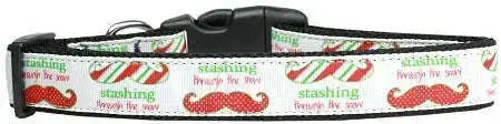 Stashing-Through-The-Snow-Nylon-Dog-Collar-Medium-Narrow-GreatEagleInc-318646762