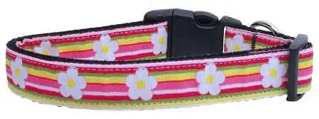 Striped-Daisy-Ribbon-Dog-Collars-Large-GreatEagleInc-318907054