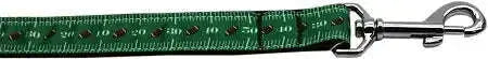 The-Shortest-Yard-Nylon-Dog-Leash-5-8-Inch-Wide-4ft-Long-GreatEagleInc-318823983