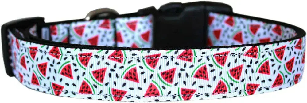 Watermelon-Nylon-Dog-Collar-Sm-GreatEagleInc-318775844