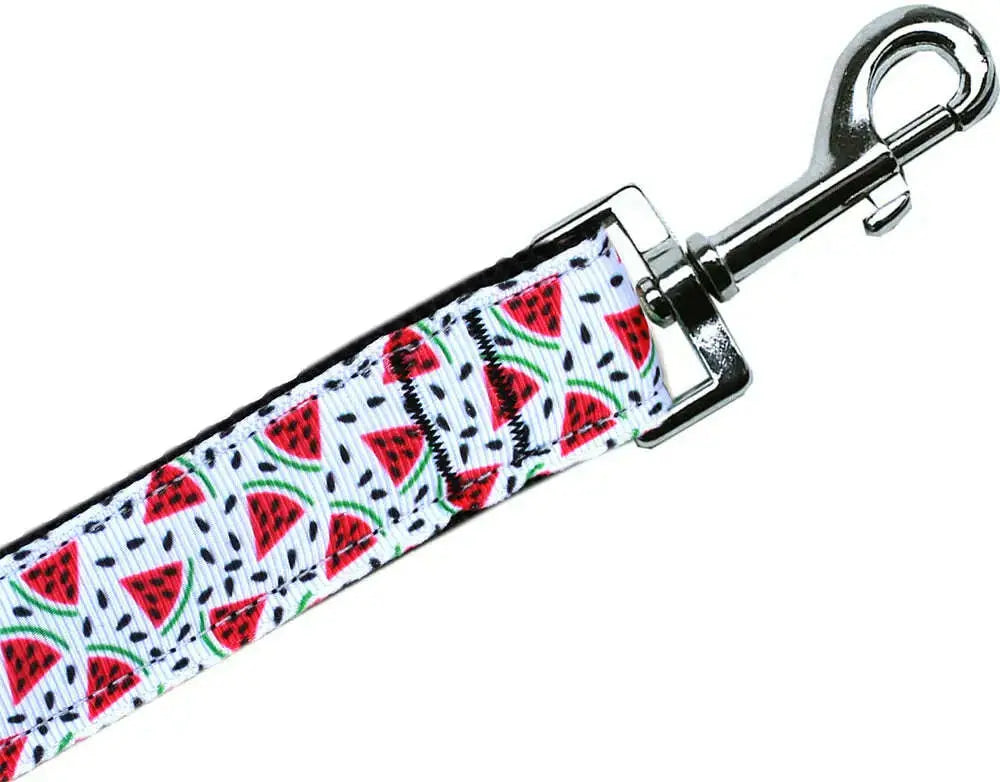 Watermelon-Nylon-Pet-Leash-5-8in-By-6ft-GreatEagleInc-333690674