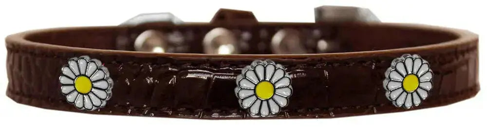 White-Daisy-Widget-Croc-Dog-Collar-Chocolate-Size-12-GreatEagleInc-319994244