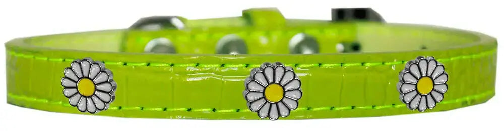 White-Daisy-Widget-Croc-Dog-Collar-Lime-Green-Size-18-GreatEagleInc-319996257