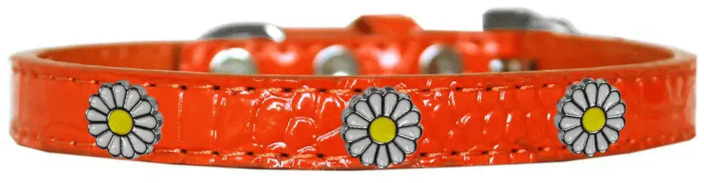 White-Daisy-Widget-Croc-Dog-Collar-Orange-Size-10-GreatEagleInc-319997035