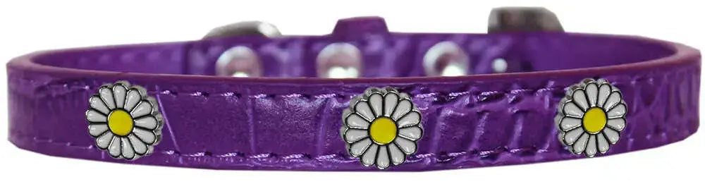 White-Daisy-Widget-Croc-Dog-Collar-Purple-Size-10-GreatEagleInc-319997634