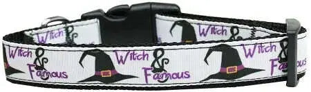 Witch-And-Famous-Nylon-Cat-Collar-GreatEagleInc-320022750