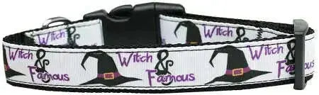 Witch-And-Famous-Nylon-Dog-Collar-Xl-GreatEagleInc-320022561