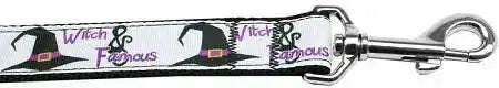 Witch-And-Famous-Nylon-Dog-Leash-3-8-Inch-Wide-6ft-Long-GreatEagleInc-318826378