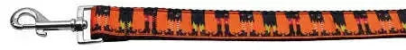 Witches-Brew-Nylon-Dog-Leash-5-8-Inch-Wide-4ft-Long-GreatEagleInc-318521454