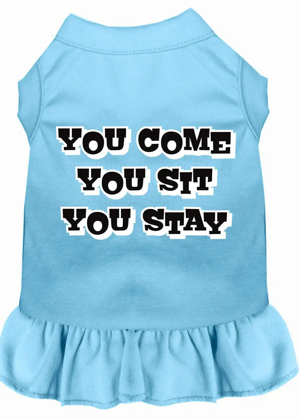 You-Come_-You-Sit_-You-Stay-Screen-Print-Dress-Baby-Blue-Lg-GreatEagleInc-320200396