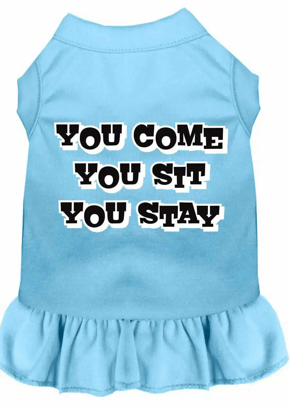 You-Come_-You-Sit_-You-Stay-Screen-Print-Dress-Baby-Blue-Xl-GreatEagleInc-318875172