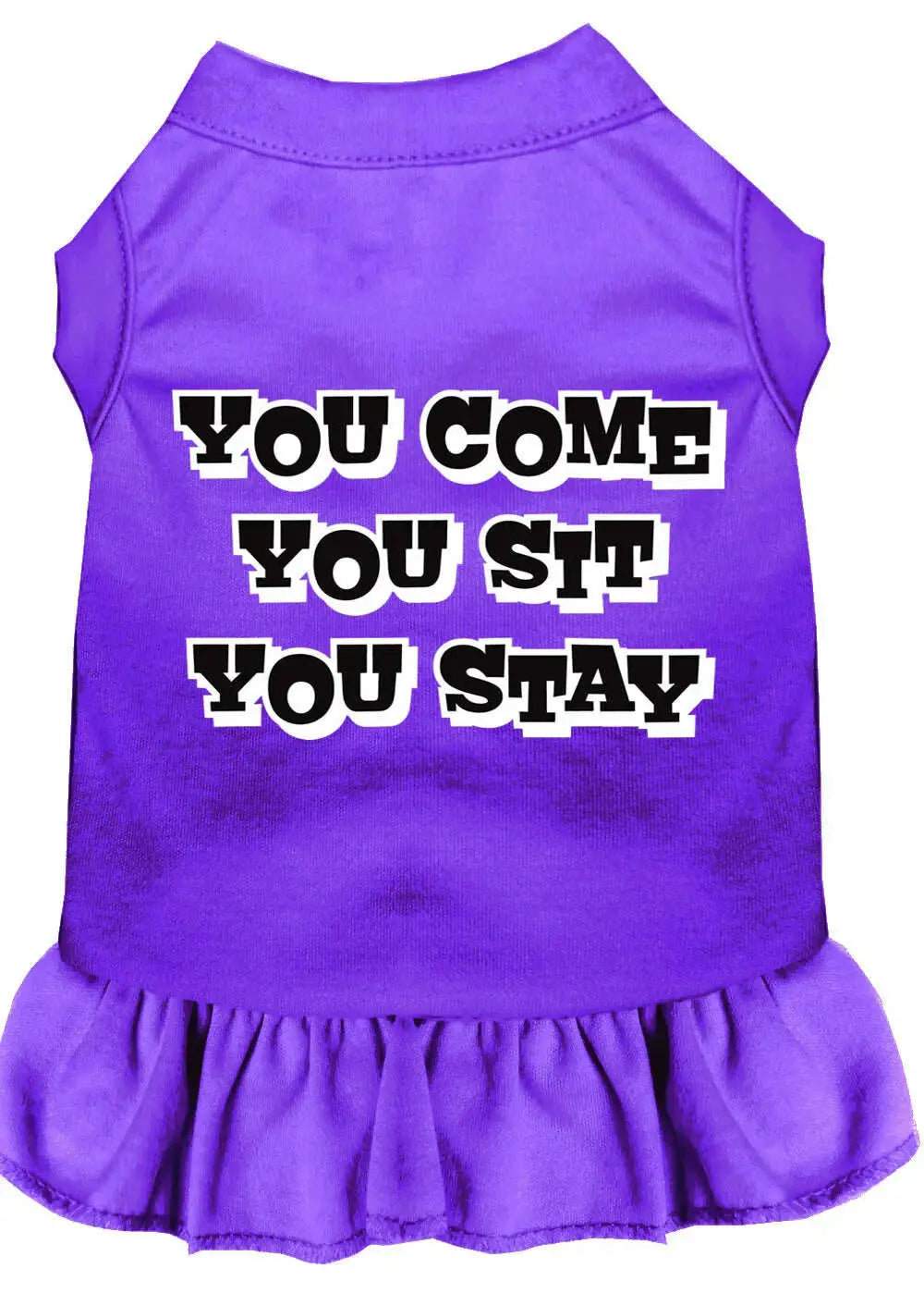 You-Come_-You-Sit_-You-Stay-Screen-Print-Dress-Purple-Xxl-GreatEagleInc-318876313