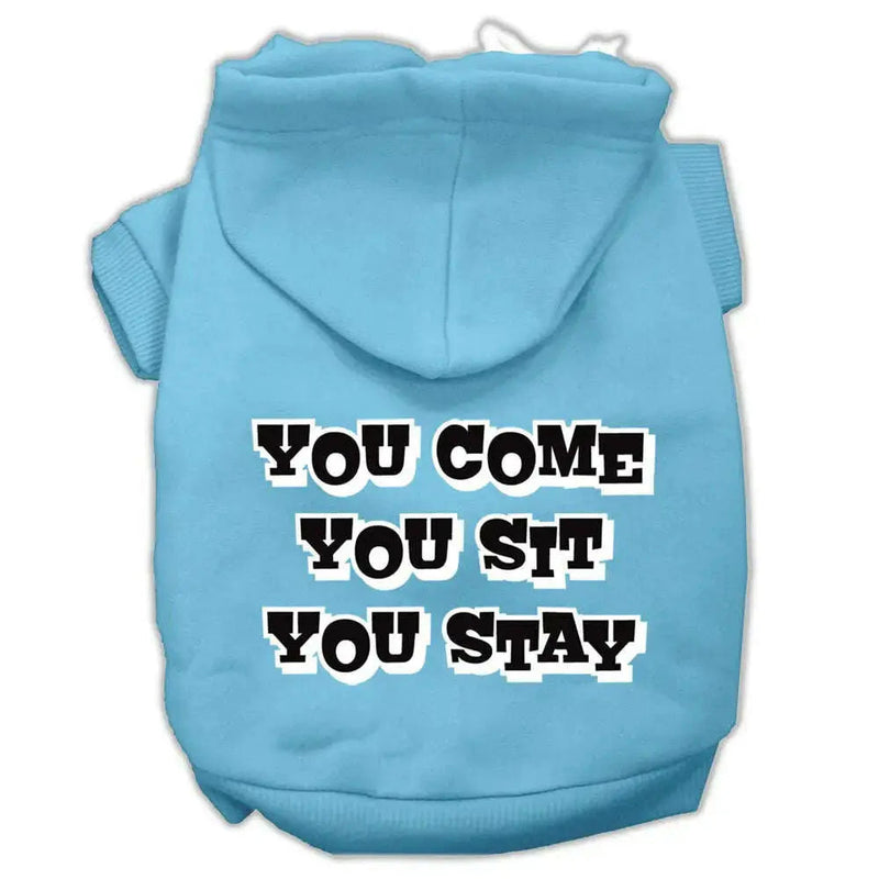 You-Come_-You-Sit_-You-Stay-Screen-Print-Pet-Hoodies-Baby-Blue-Size-Xxxl-GreatEagleInc-333946763