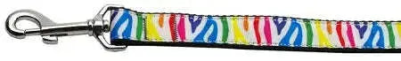 Zebra-Rainbow-Nylon-Dog-Leash-3-8-Inch-Wide-4ft-Long-GreatEagleInc-318494996